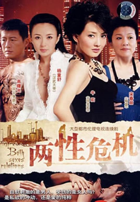 两性危机(2DVD)