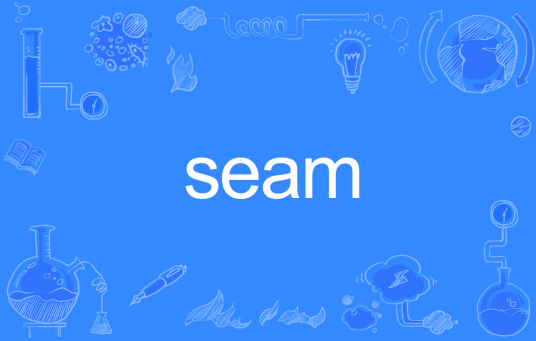 seam（英文单词）