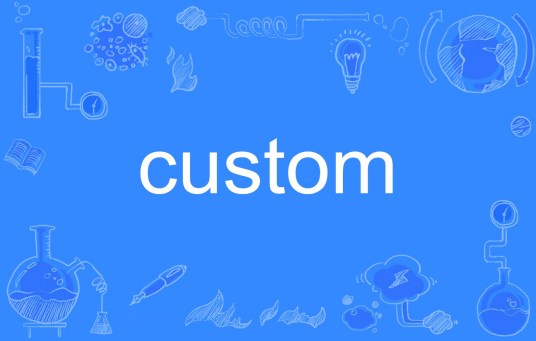 CUSTOM（英文单词）