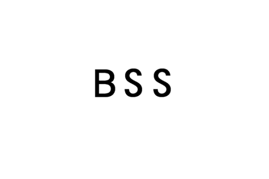 BSS（盲信号分离）