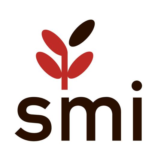 smi（管理信息结构）