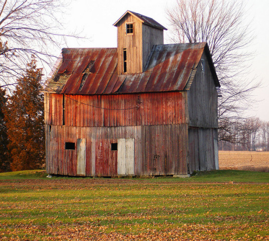 Shed