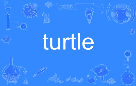 turtle（英文单词）