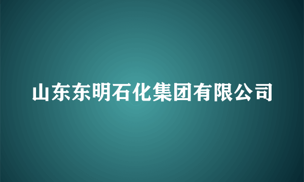 山东东明石化集团有限公司