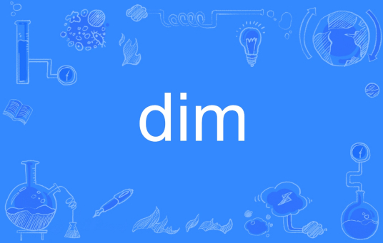 dim（英语单词）