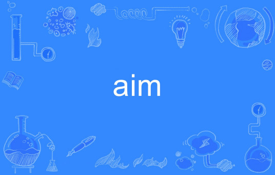 aim（英文单词）