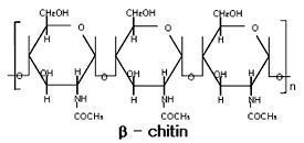 β-壳聚糖