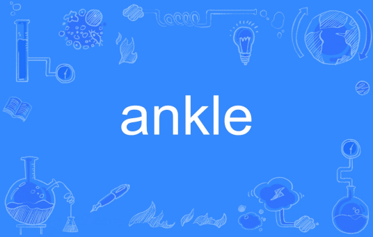 ankle