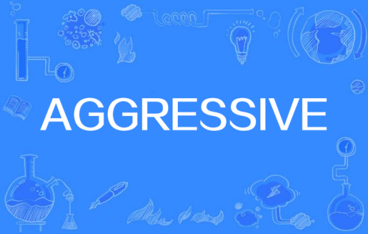 AGGRESSIVE（英文单词）