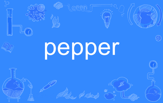 pepper（英语单词）