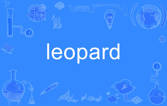 Leopard（英语单词）