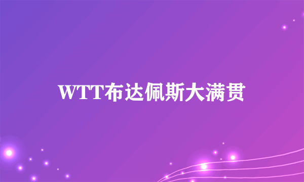 WTT布达佩斯大满贯