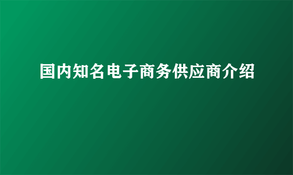 国内知名电子商务供应商介绍