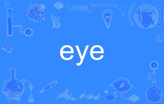 eye（英语单词）