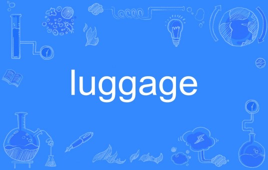 luggage（英文单词）