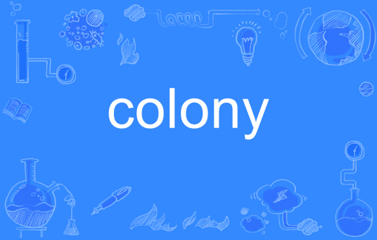 colony