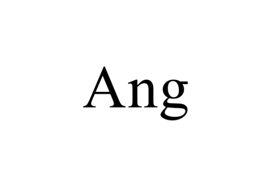 Ang（后鼻韵母之一）