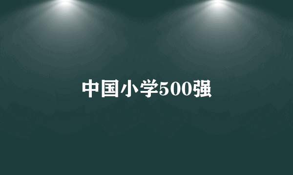 中国小学500强