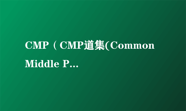 CMP（CMP道集(Common Middle Point)）