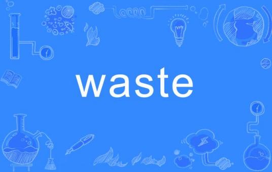 waste（英语单词）