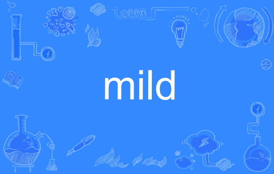 mild（英文单词）