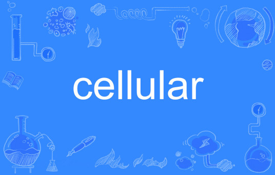 Cellular（英语单词）