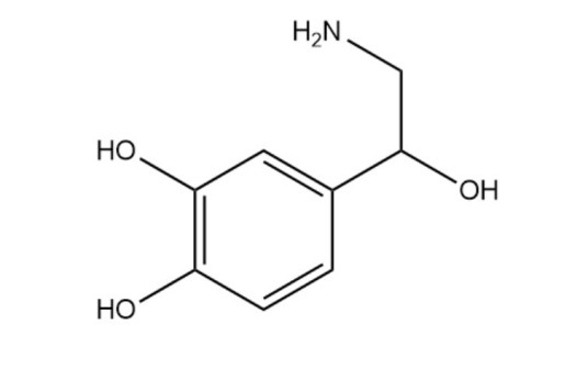 去甲肾上腺素