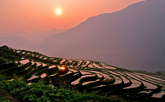 龙胜龙脊梯田景区