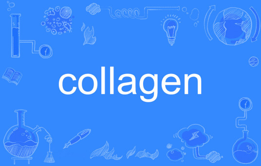 Collagen