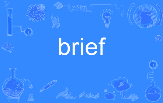 brief（英文单词）