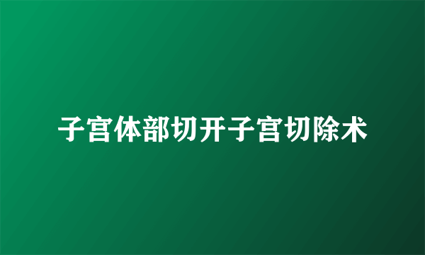 子宫体部切开子宫切除术