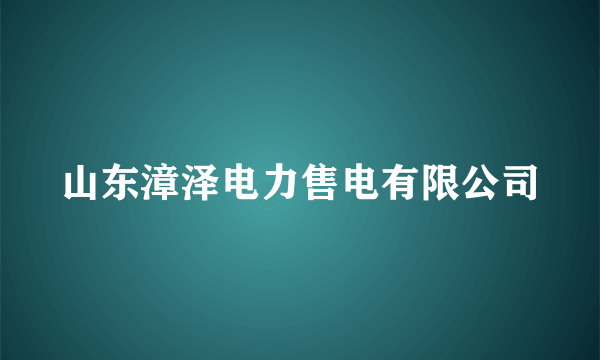 山东漳泽电力售电有限公司