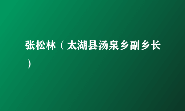 张松林（太湖县汤泉乡副乡长）