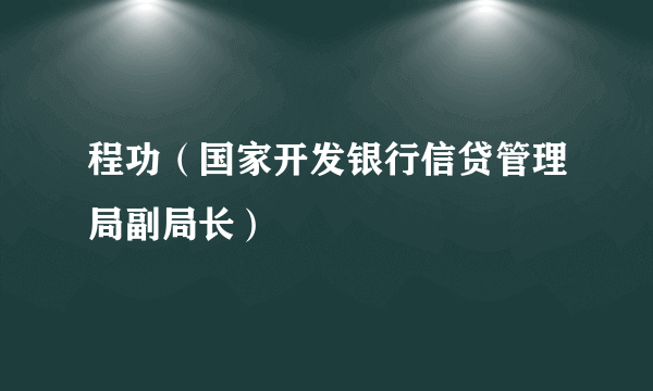 程功（国家开发银行信贷管理局副局长）