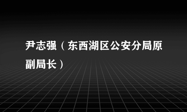 尹志强（东西湖区公安分局原副局长）