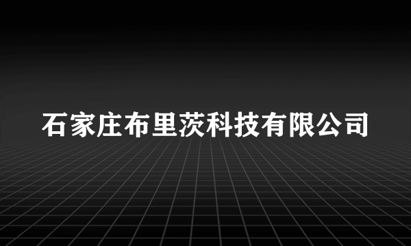 石家庄布里茨科技有限公司