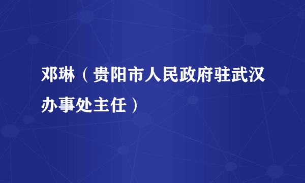 邓琳（贵阳市人民政府驻武汉办事处主任）