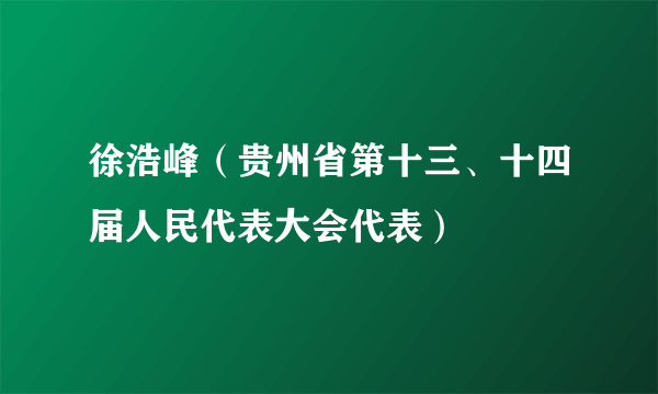 徐浩峰（贵州省第十三、十四届人民代表大会代表）