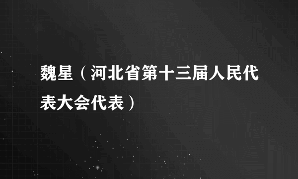 魏星（河北省第十三届人民代表大会代表）