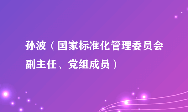 孙波（国家标准化管理委员会副主任、党组成员）