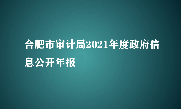 合肥市审计局2021年度政府信息公开年报