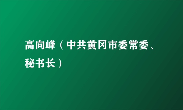 高向峰（中共黄冈市委常委、秘书长）