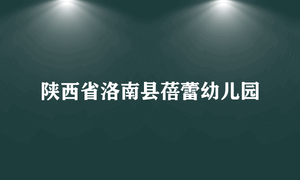 陕西省洛南县蓓蕾幼儿园