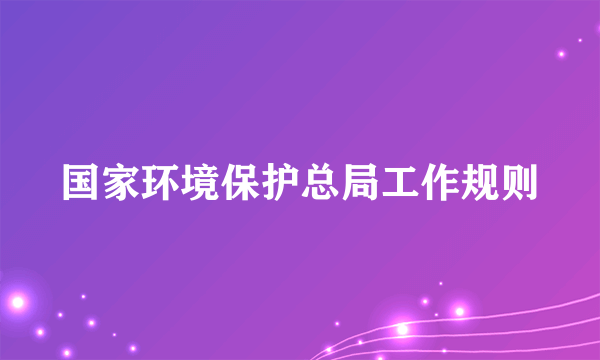 国家环境保护总局工作规则