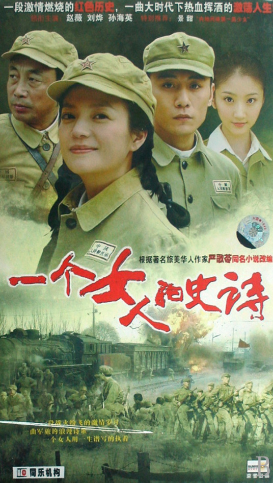 一个女人的史诗(11DVD)