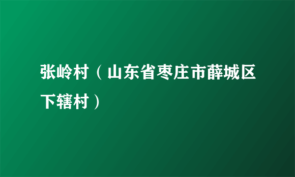 张岭村（山东省枣庄市薛城区下辖村）