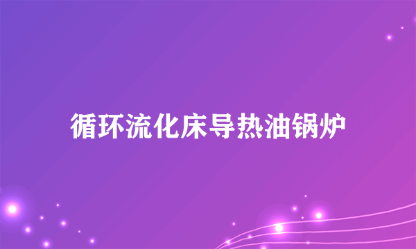 循环流化床导热油锅炉