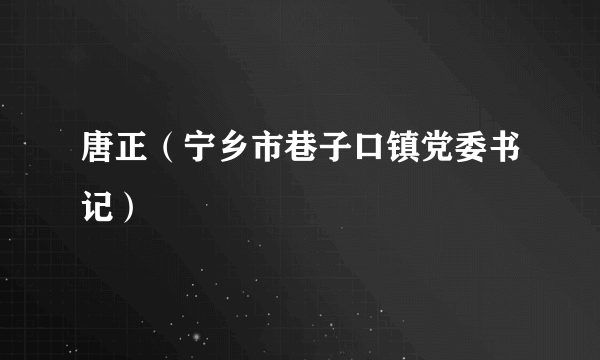 唐正（宁乡市巷子口镇党委书记）