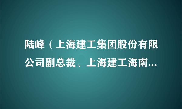 陆峰（上海建工集团股份有限公司副总裁、上海建工海南区域总部总裁）