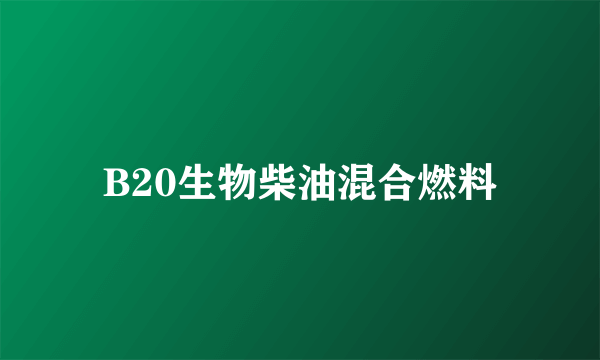 B20生物柴油混合燃料